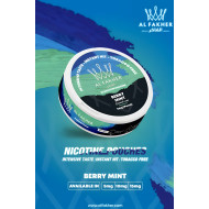 اظرف نيكوتين الفاخر توت نعناع * اظرف نيكوتين الفاخر توت نعناع *